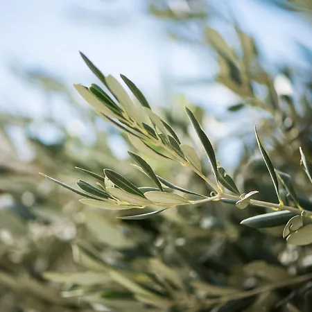 Casa Cuore Quiet And Authentic Near The Sea Διαμέρισμα *