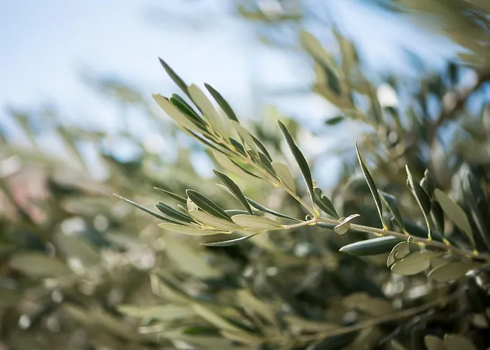 Casa Cuore Quiet And Authentic Near The Sea Διαμέρισμα *